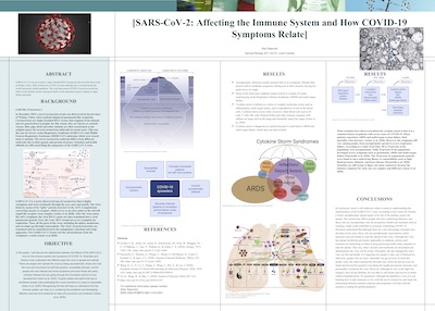 Poster Segundo